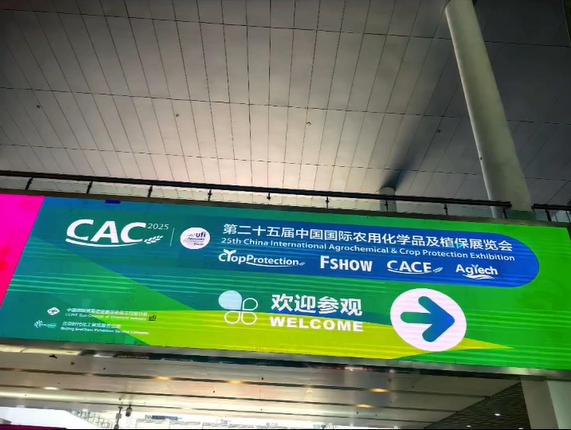 Shanghai CAC 2025-ms